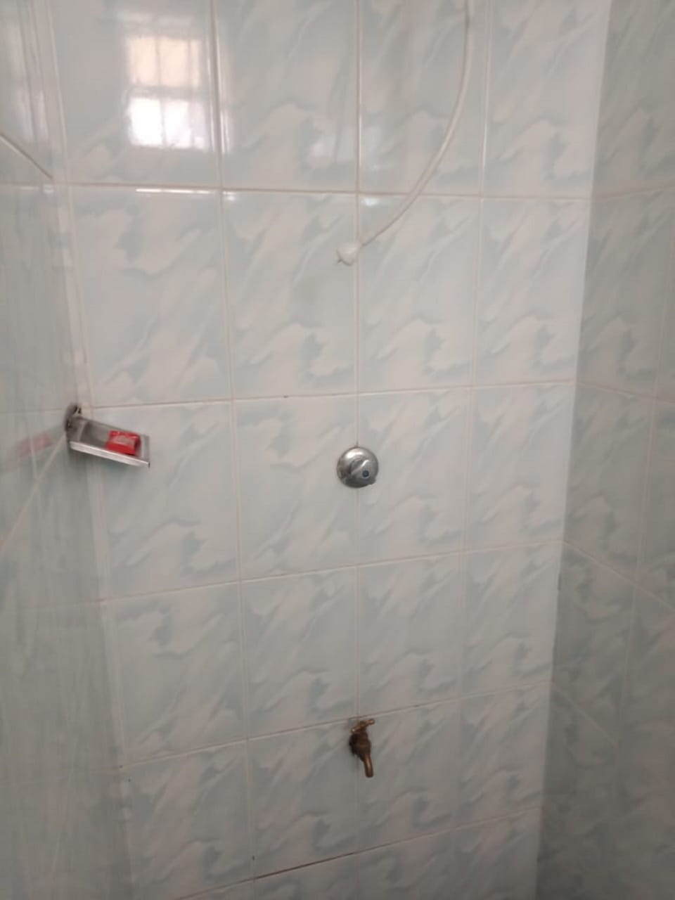 Shower, towels, soap, toilet paper