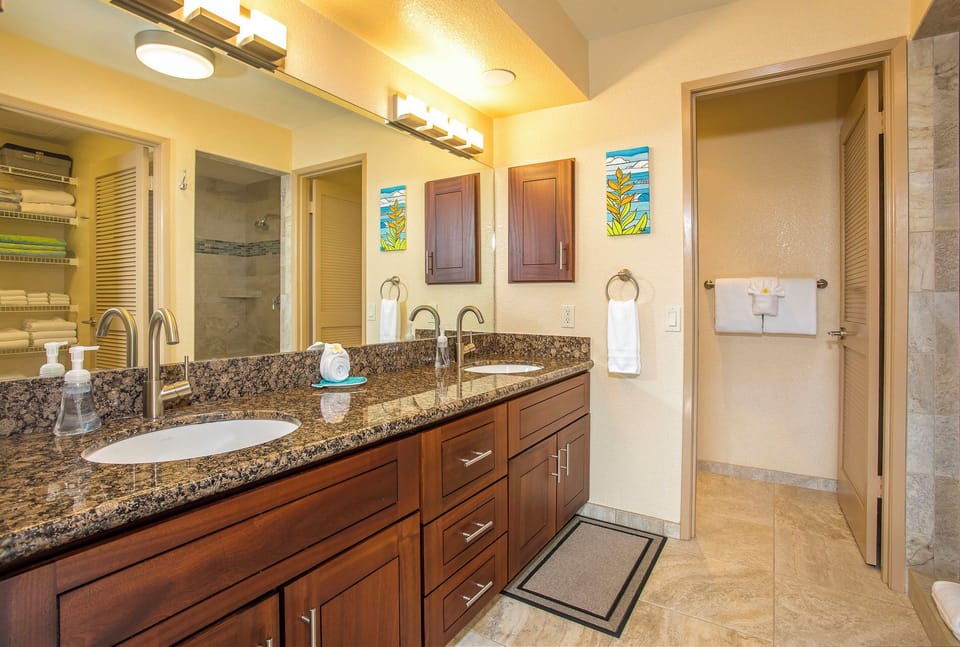 Spa style Primary bath