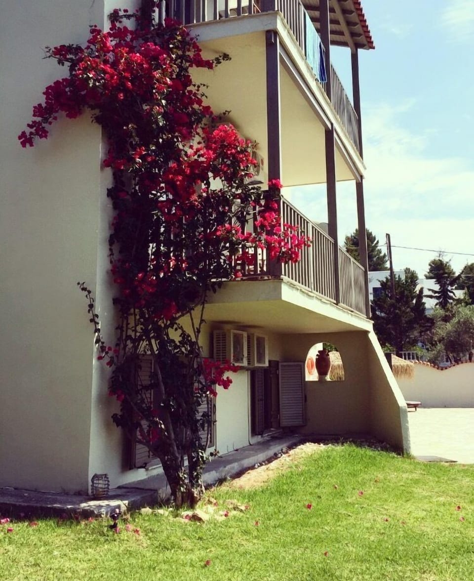 Aggelos Studio Bed and Breakfast in Sporades, Greece