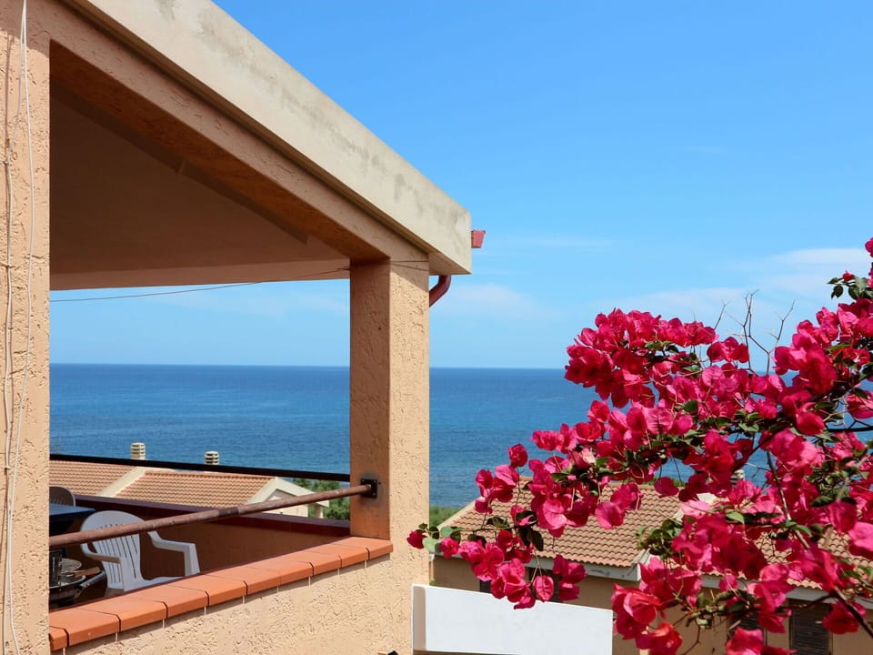 Property, Bougainvillea, Sky, Vacation, Sea, Flower, Summer, Tree, Plant, Real Estate