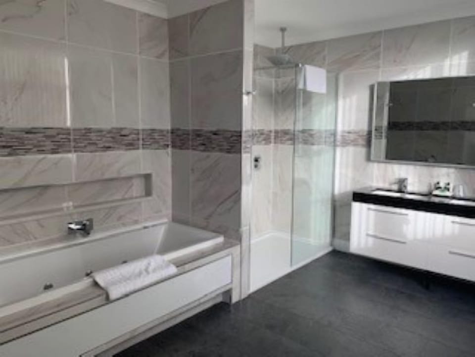 Executive Double Room | Bathroom | Shower, eco-friendly toiletries, hair dryer, towels