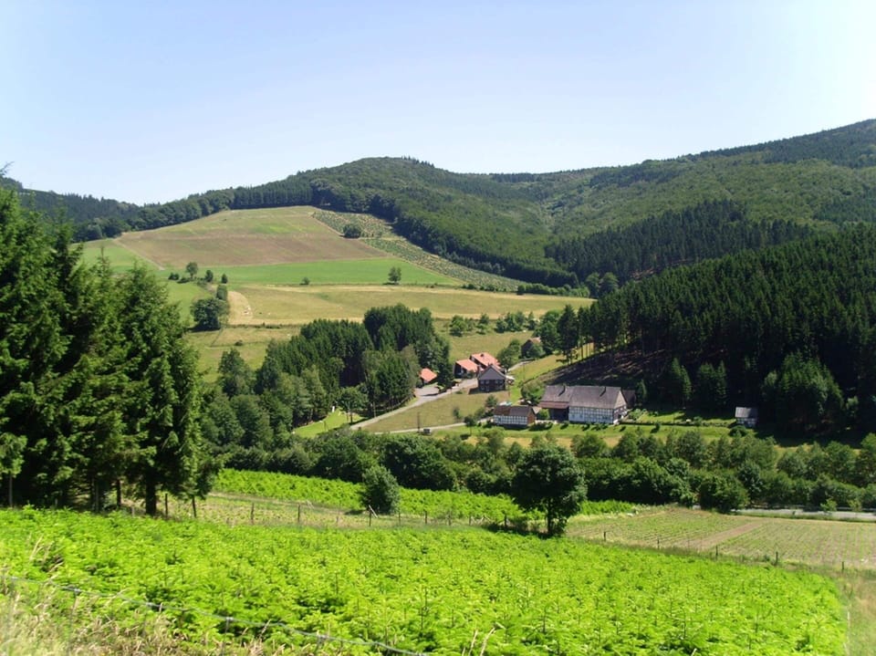 House | View from property