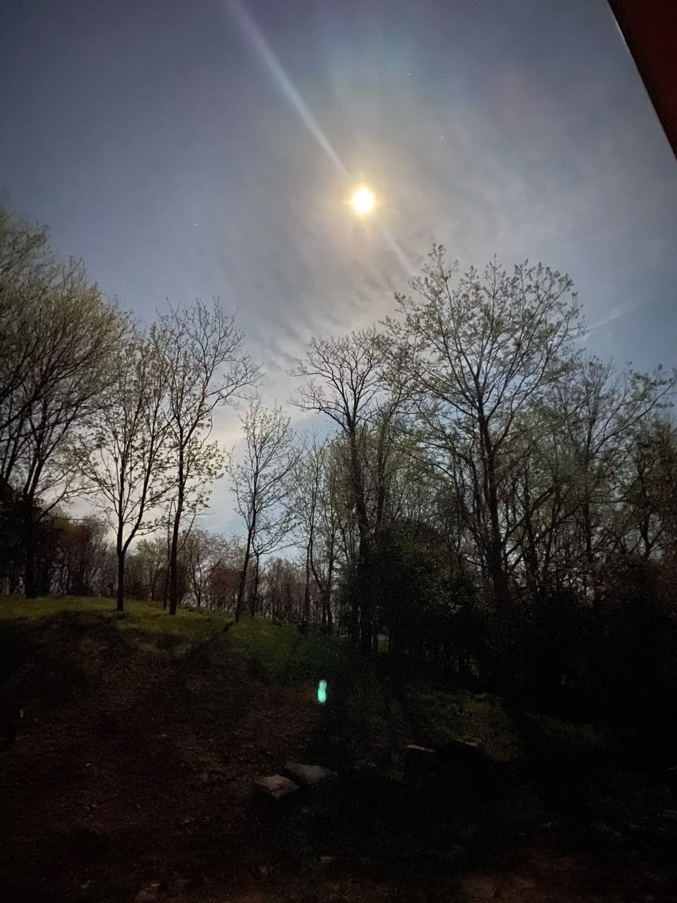 Moonlit night