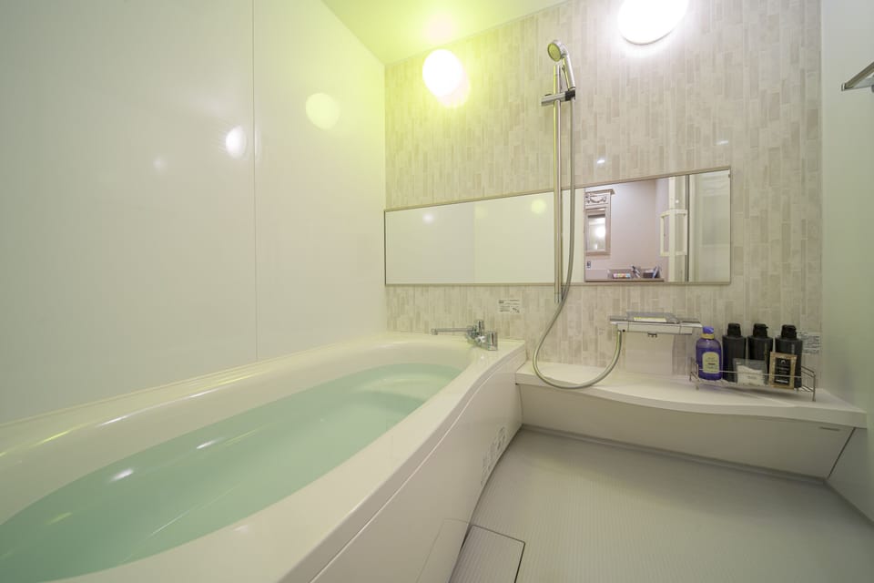 Separate tub and shower, free toiletries, hair dryer, bathrobes