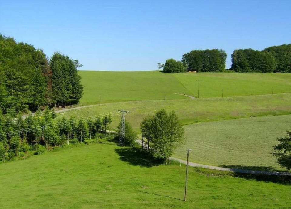 House | View from property