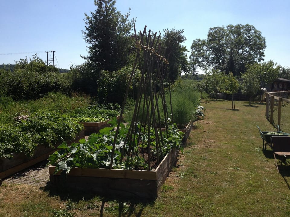 Apartment, 1 Bedroom, Garden View | Garden