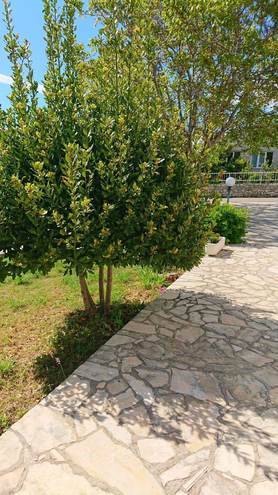 Apartment, 3 Bedrooms, Smoking, Balcony | Property grounds