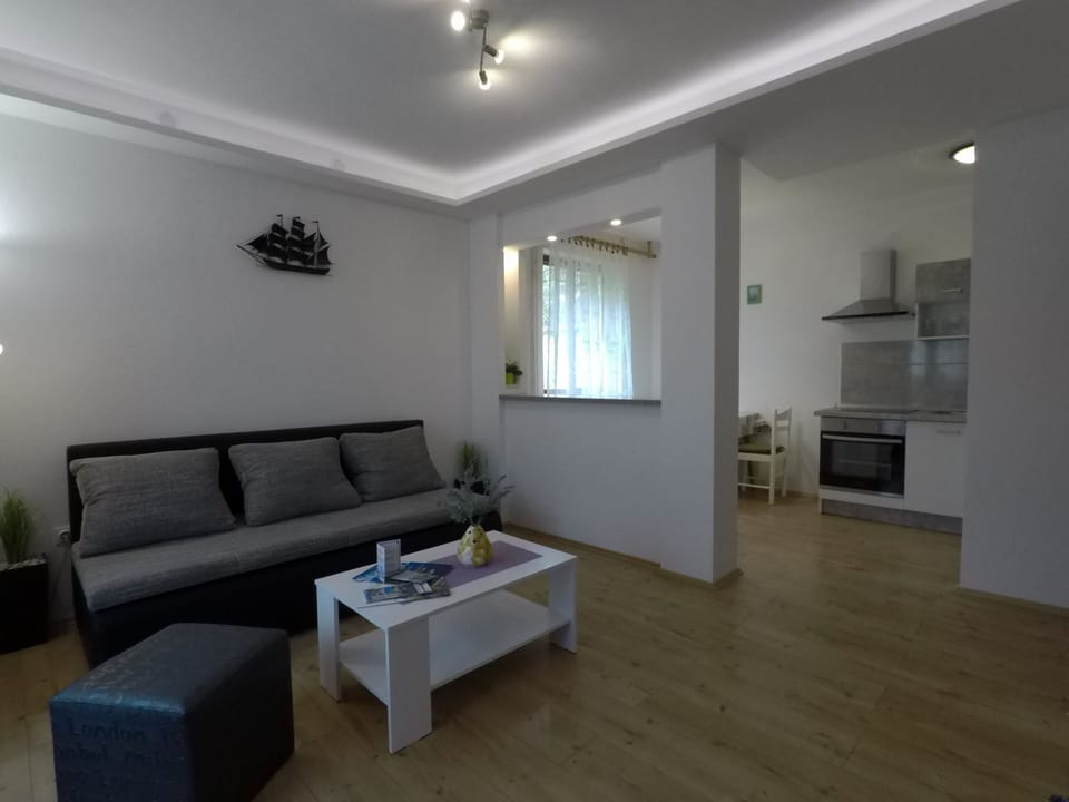 Apartment, 1 Bedroom, Accessible, Smoking | Living room | TV