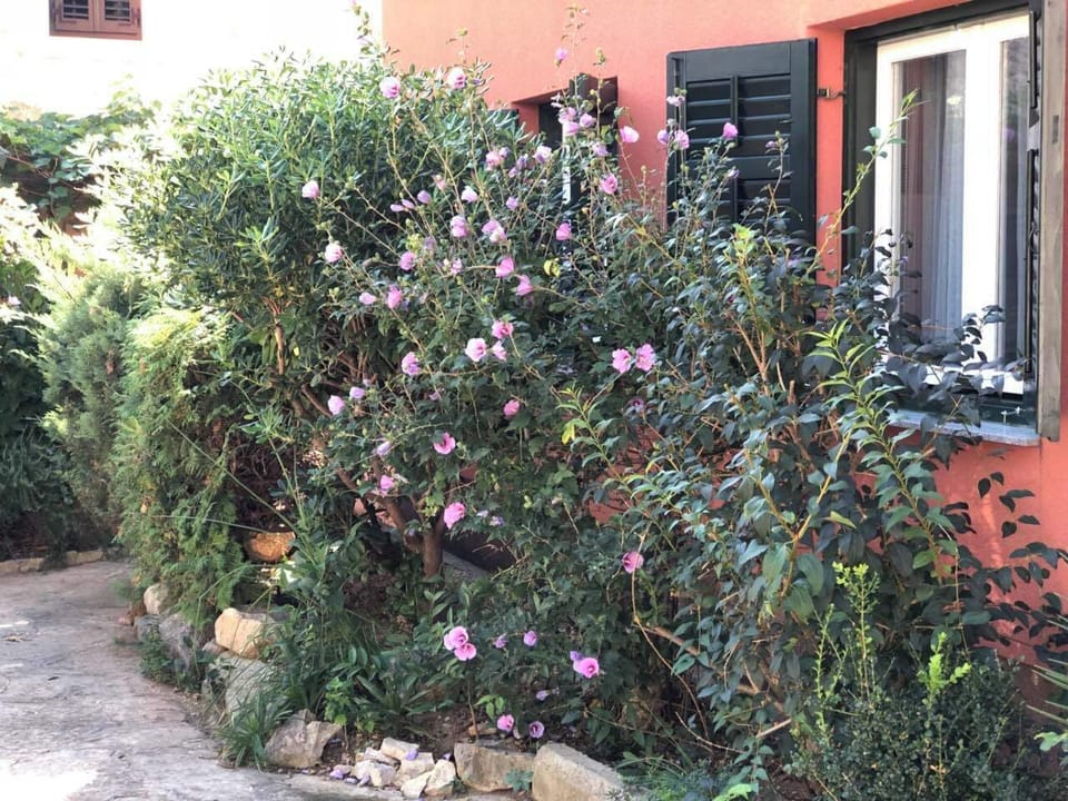 Studio, Balcony, Garden View | Garden