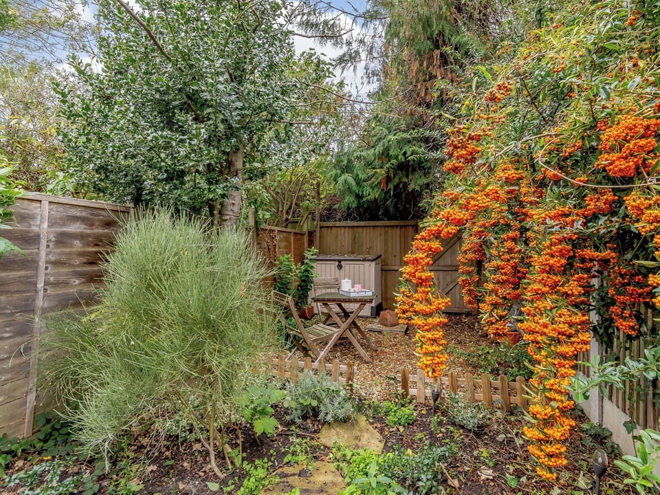 Garden | Anchor Cottage, Whitstable