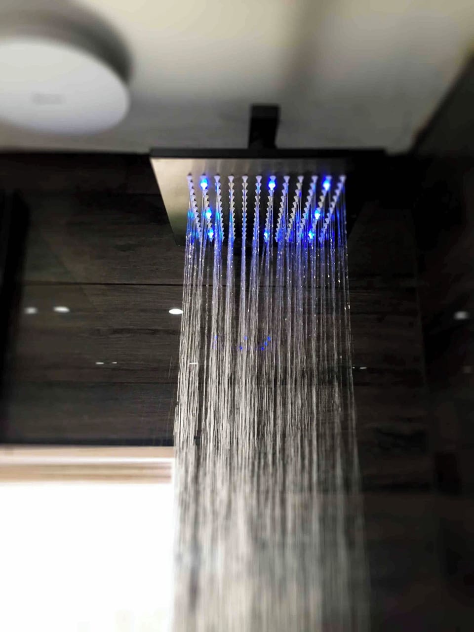 Room, 1 Bedroom | Bathroom shower