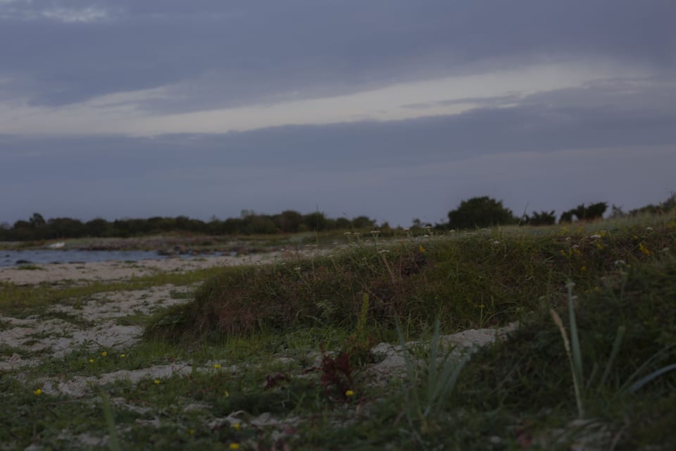 Beach nearby, white sand