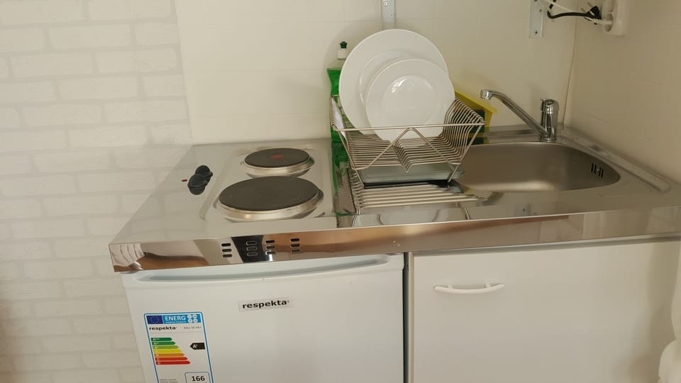 Deluxe Twin Room | Private kitchen | Fridge, microwave, stovetop, dishwasher