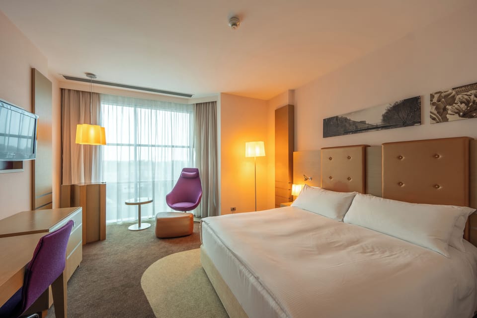 Deluxe Room, 1 King Bed | View from room