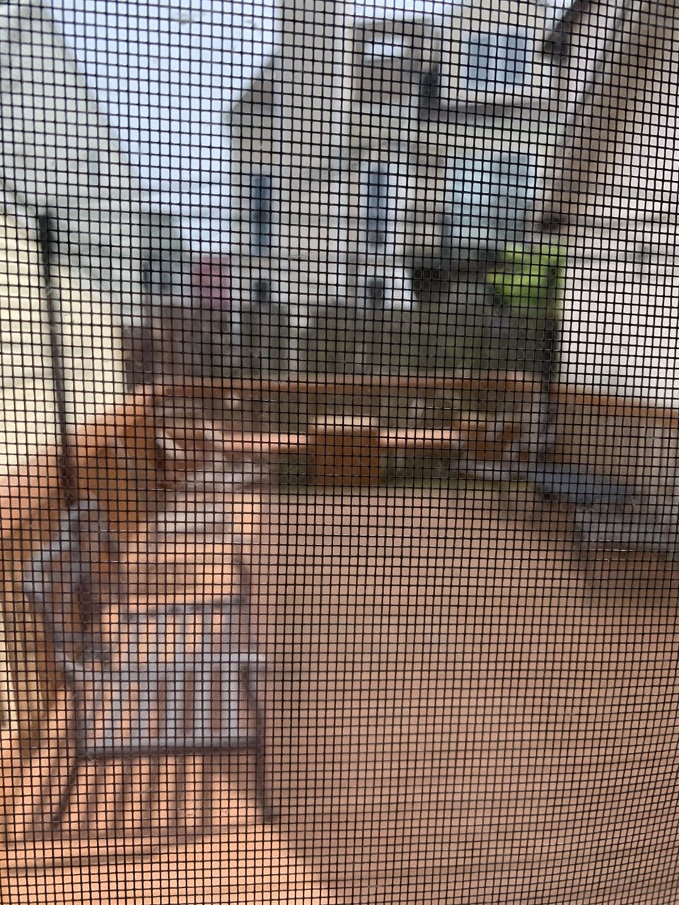 Private back patio