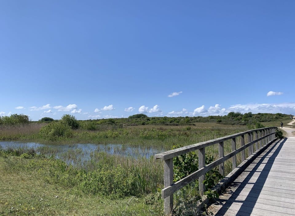 House | View from property