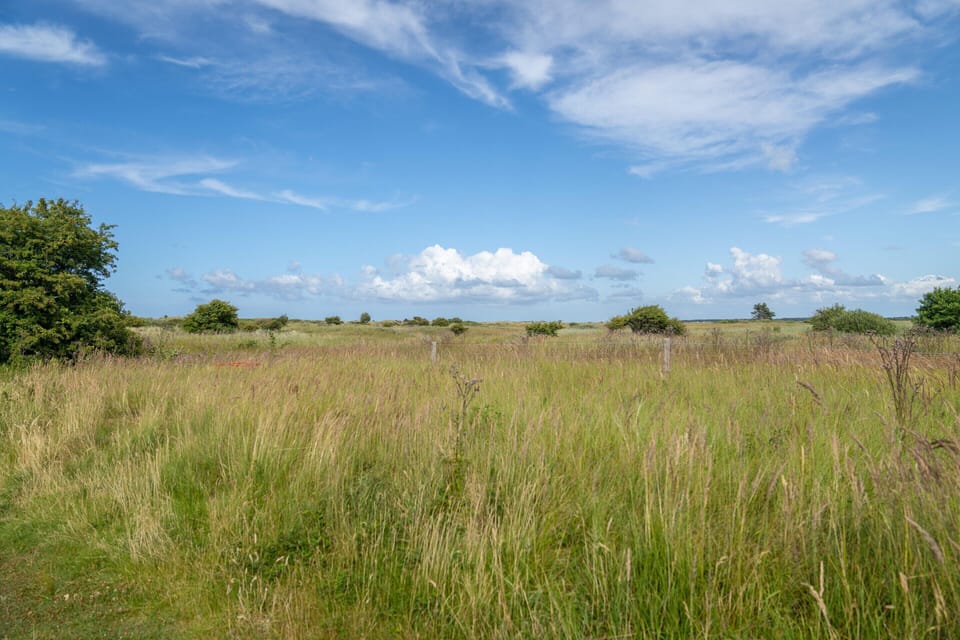 Bungalow | View from property