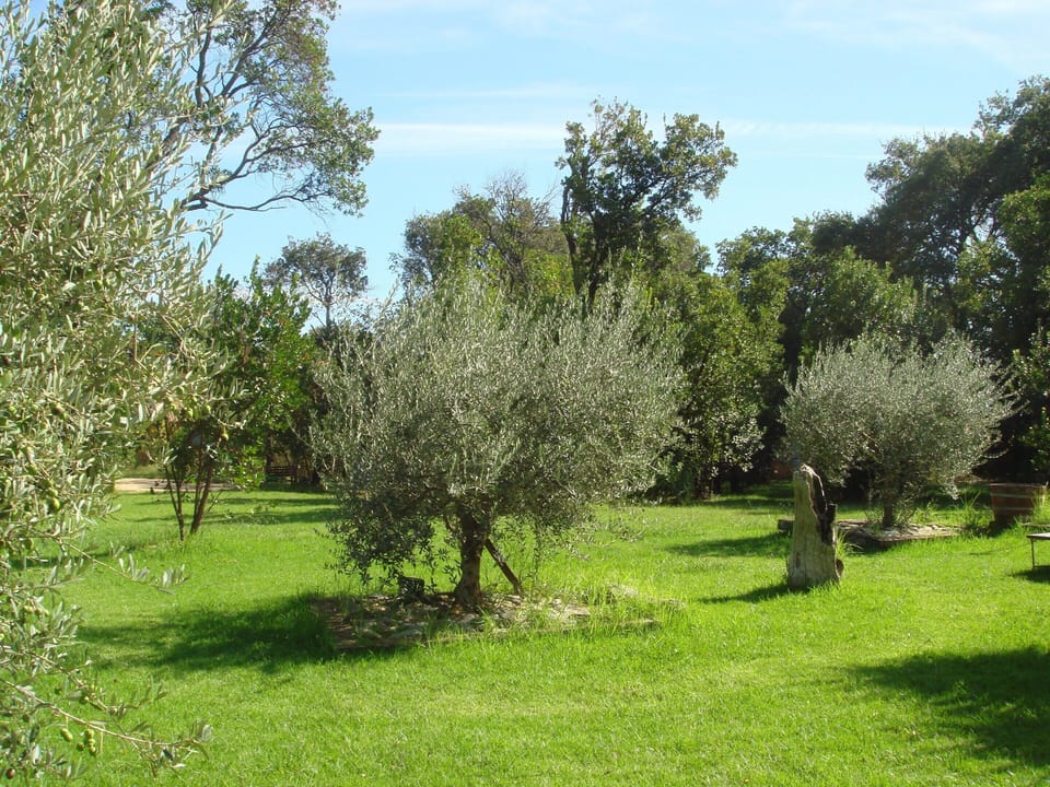 House | Garden