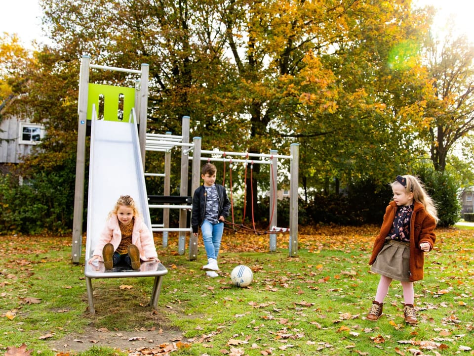 Family Villa + Sauna & Sunroom Villa in Overijssel (province)