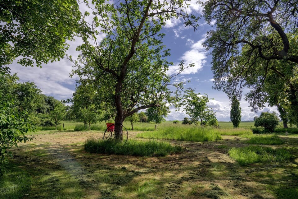 House | Garden