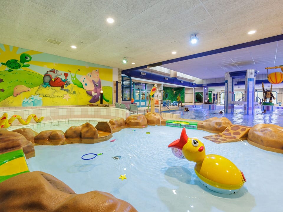 Forest Trails & Swimming Fun House in Drenthe (province)