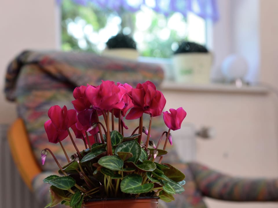 House | Interior detail