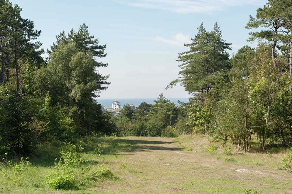 Apartment | View from property