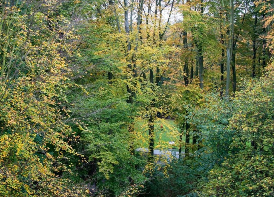 House | View from property