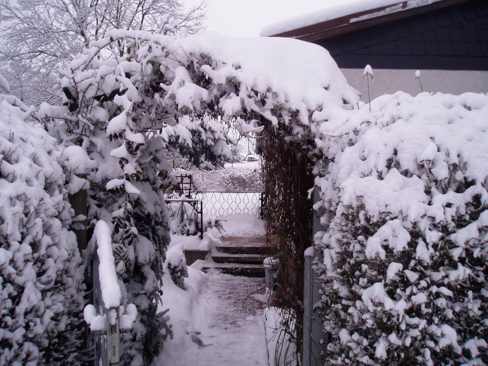 House | Garden