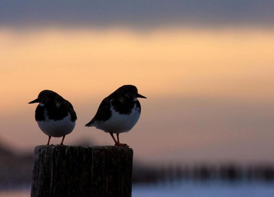 House | View from property