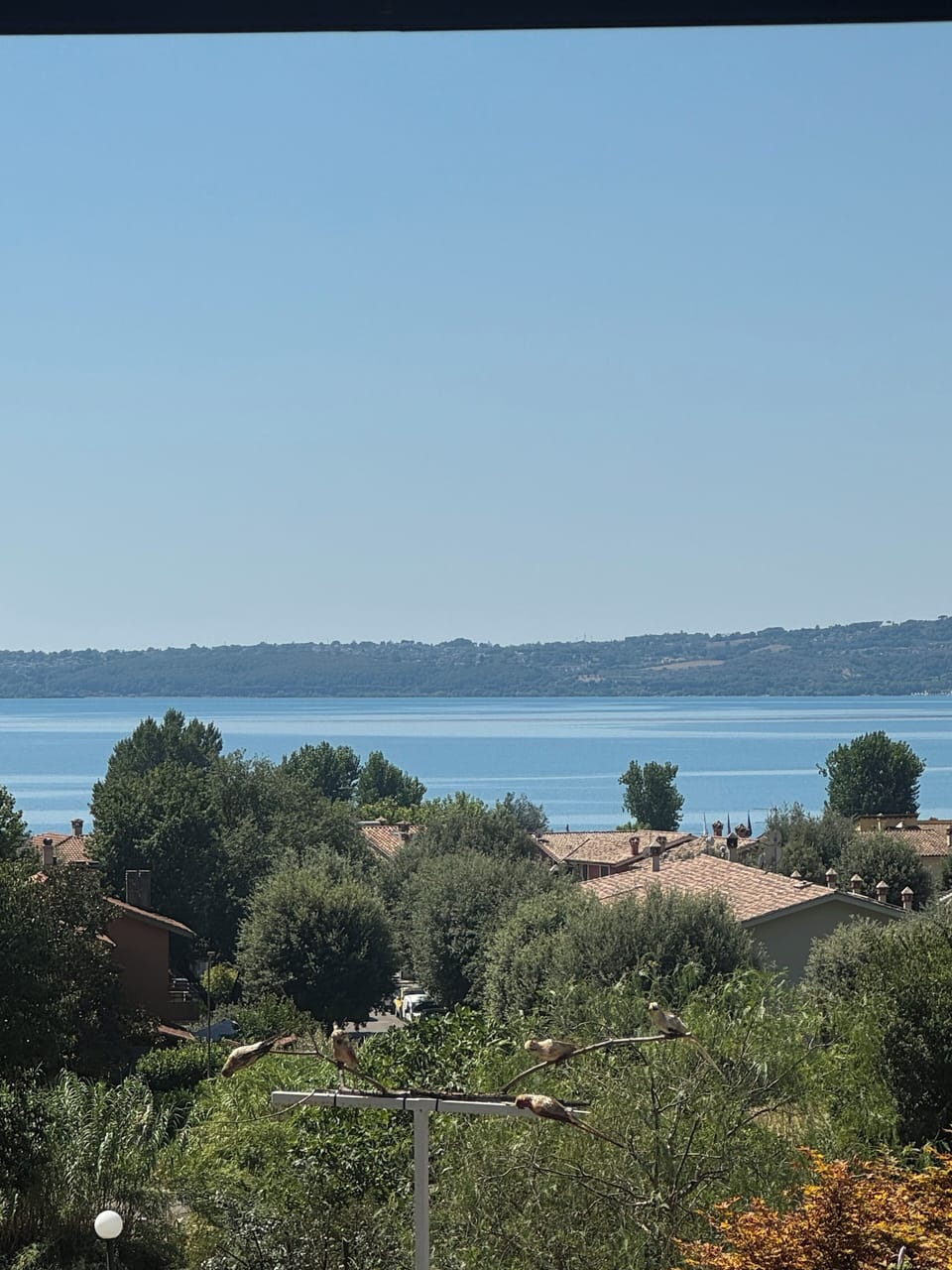 View from property