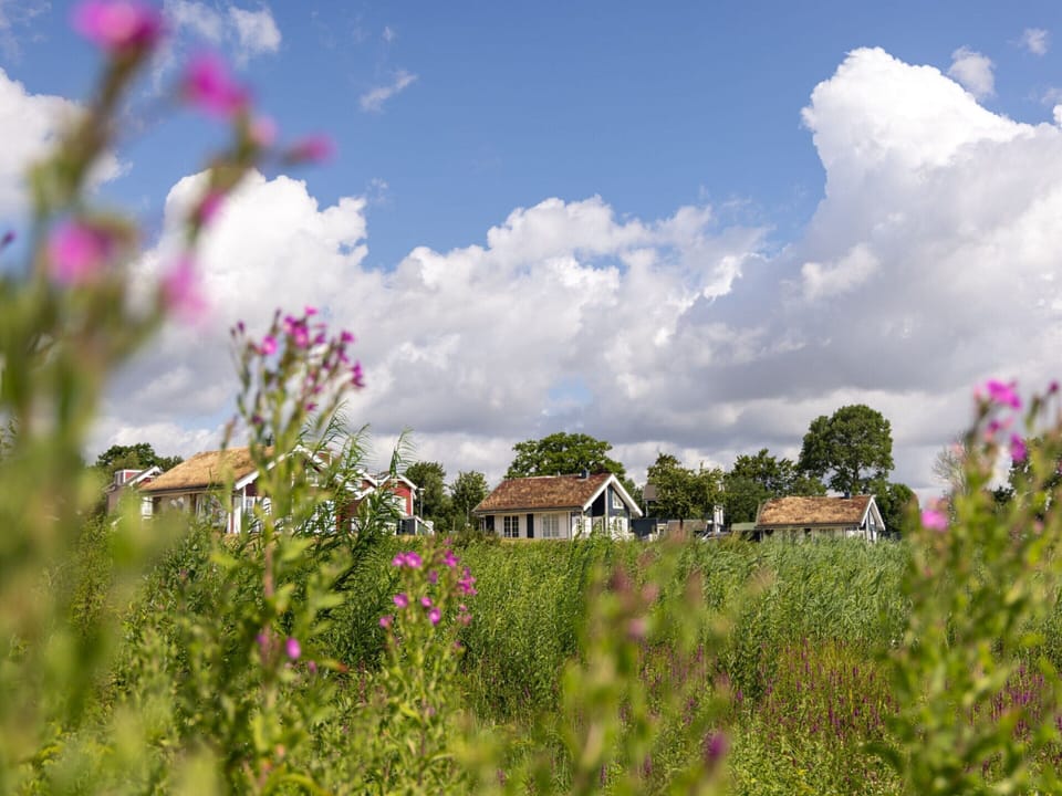 Villa | View from property