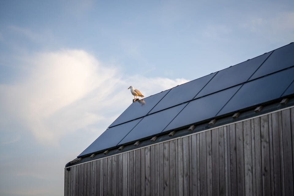 Cottage | Interior detail