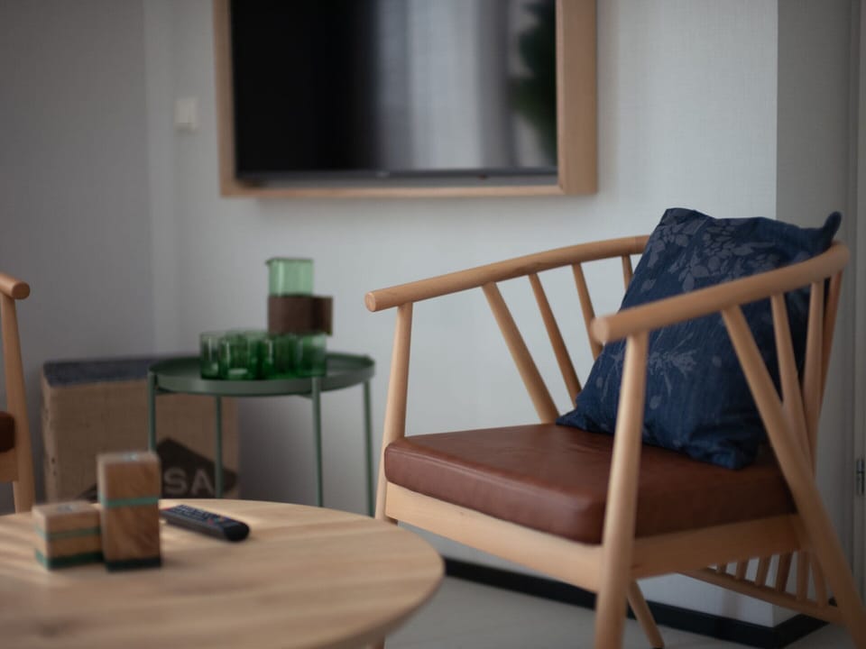 Modern Lodge With Dishwasher, Near the Beach House in Zandvoort