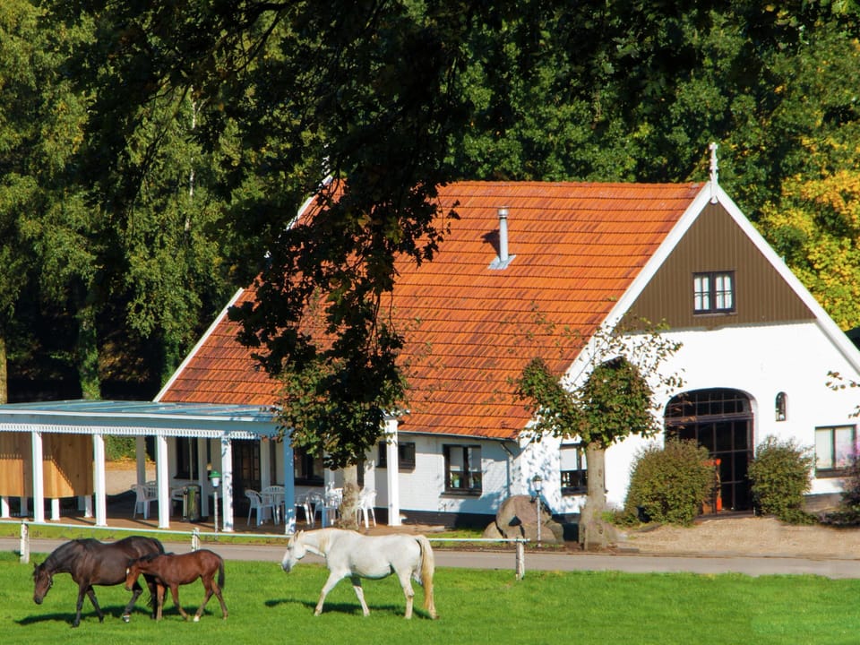 Chalet | Reception