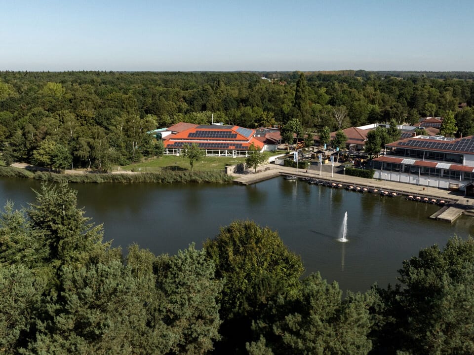 House | Aerial view