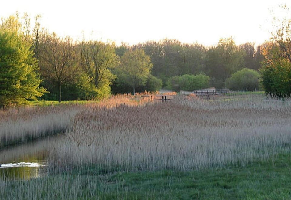 House | View from property