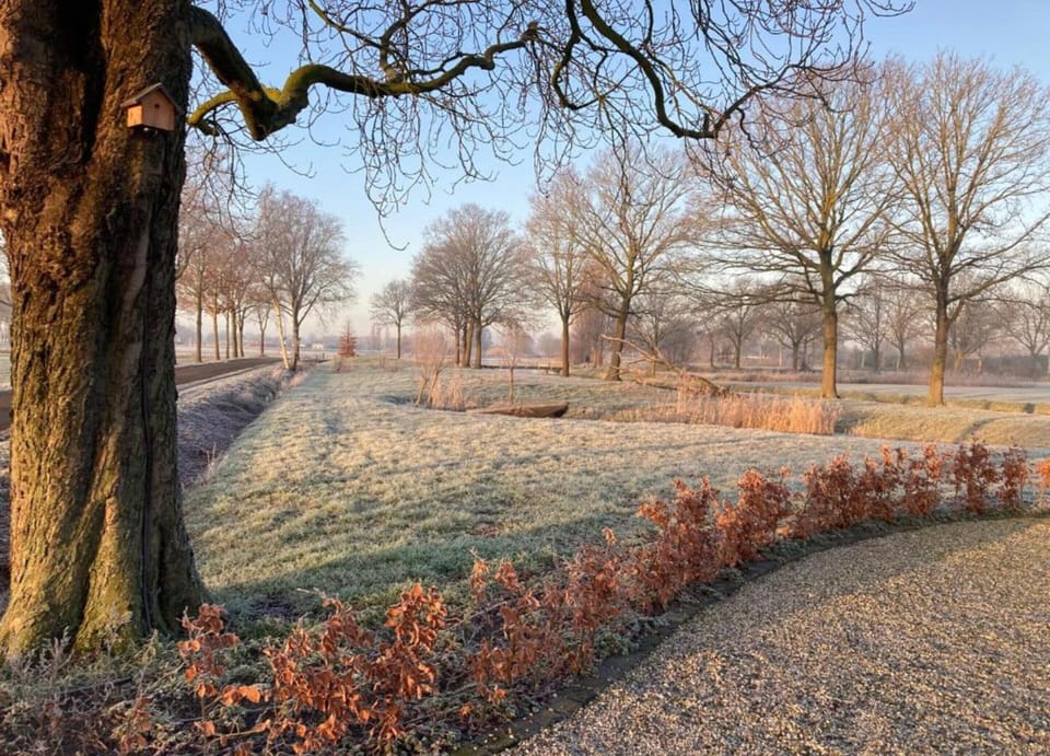 Bungalow | View from property