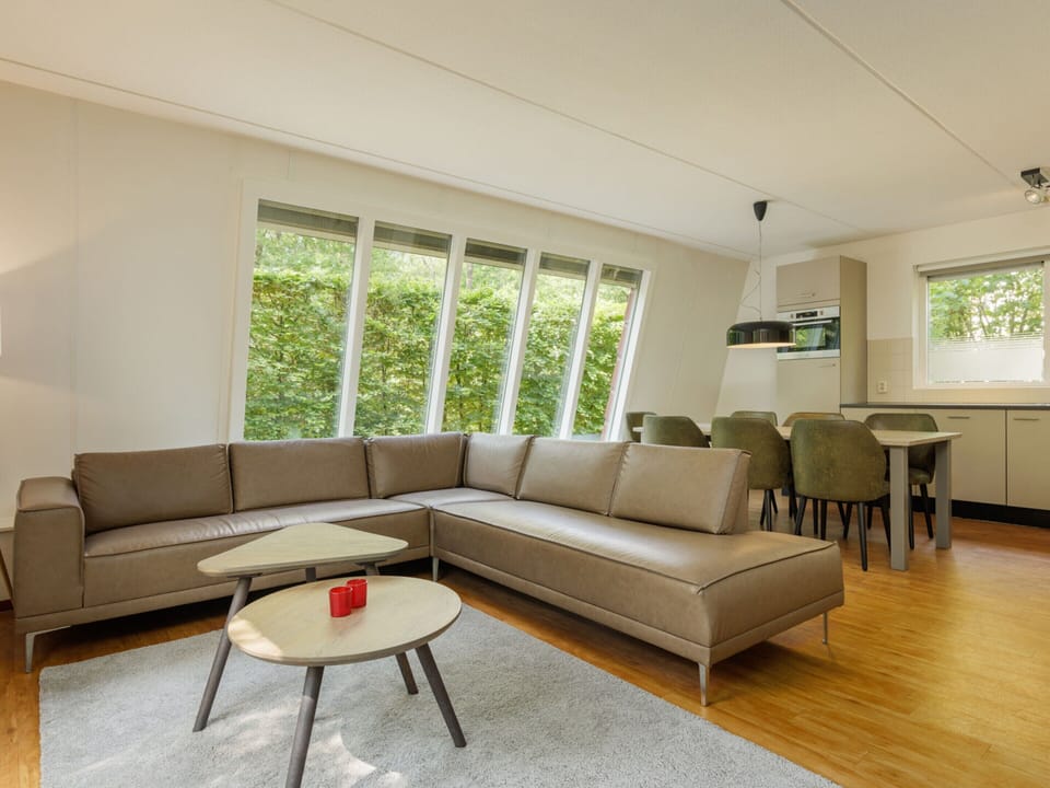 House | Living area | Fireplace, DVD player
