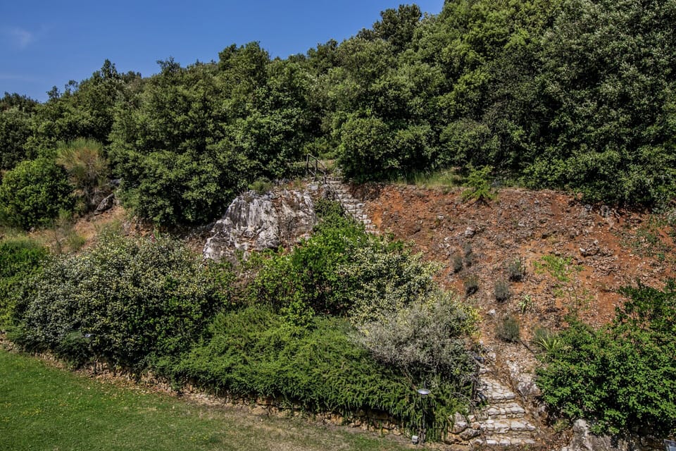 House | Garden