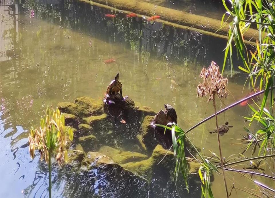 Chalet | Interior detail