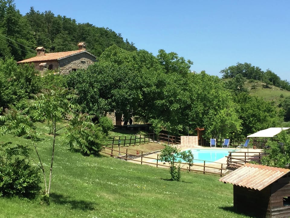 House | Pool | Outdoor pool