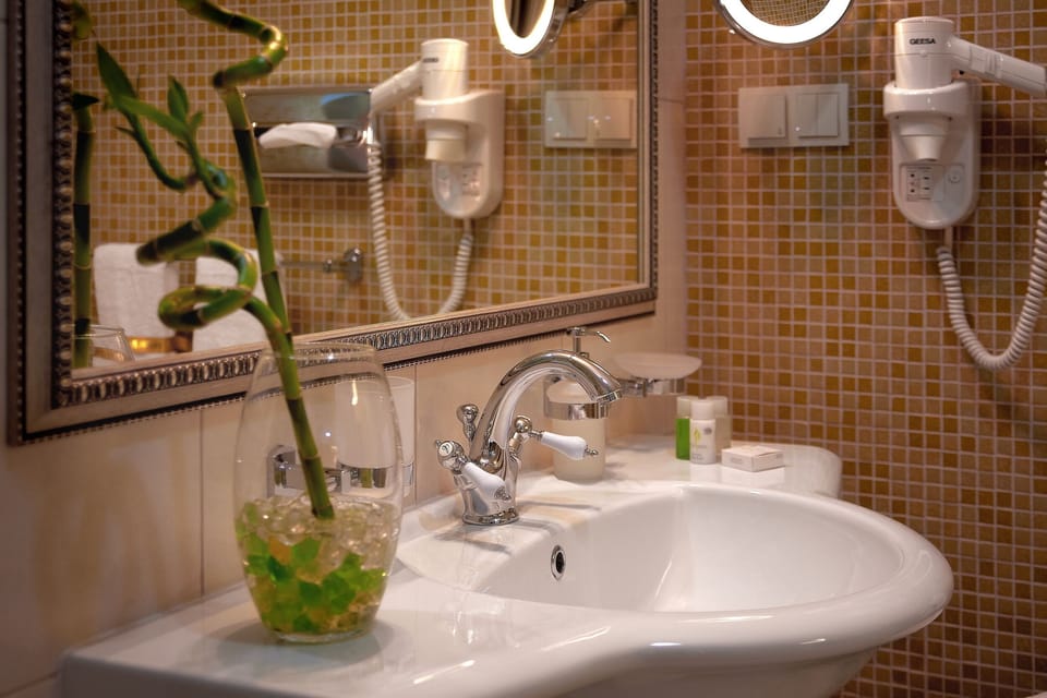 Suite | Bathroom | Shower, rainfall showerhead, free toiletries, hair dryer