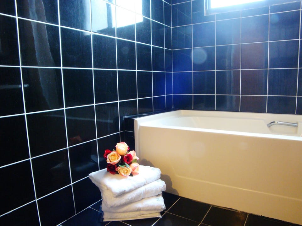 Combined shower/tub, deep soaking tub, free toiletries, hair dryer