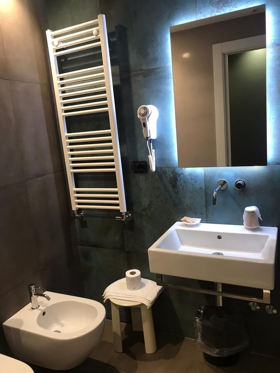 Shower, hair dryer, bidet, towels