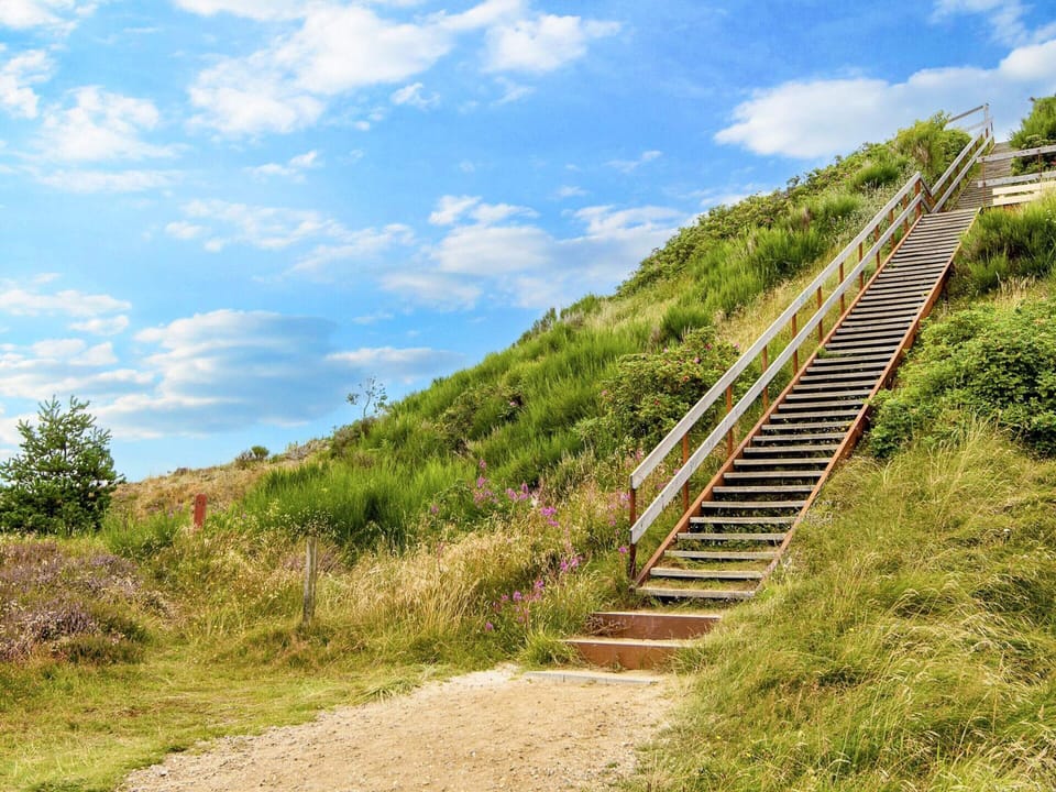 House | Property grounds