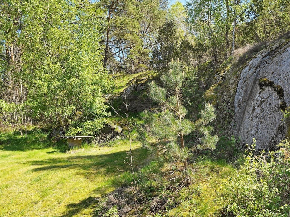 House | View from property
