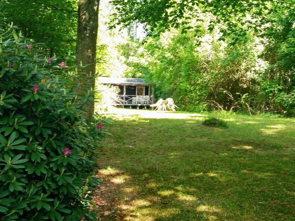 House | View from property