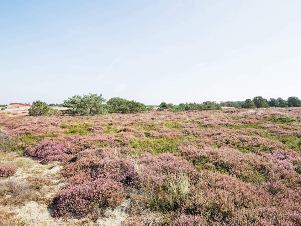 House | View from property