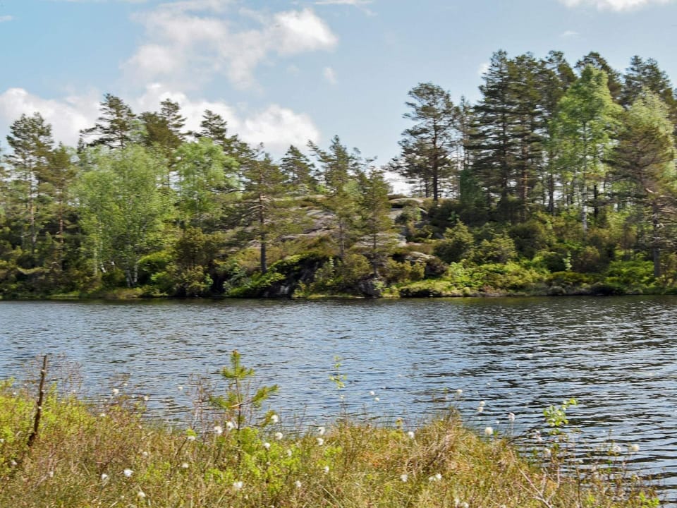 House | Water view